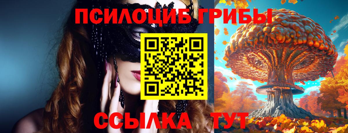 наркотики  Галлюциногенные грибы Psilocybine cubensis  Лесосибирск  Вход с VPN  Галлюциногенные грибы мухоморы 