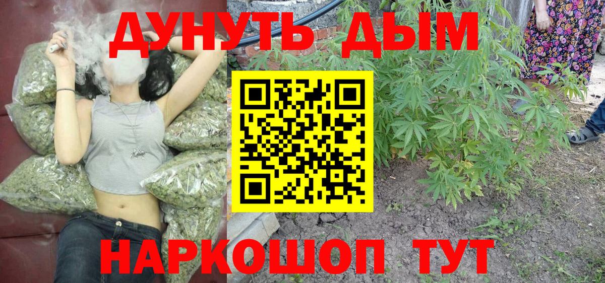 Шишки марихуана марихуана  Вход с VPN  Марихуана AK-47  МАРИХУАНА Amnesia  Лесосибирск 